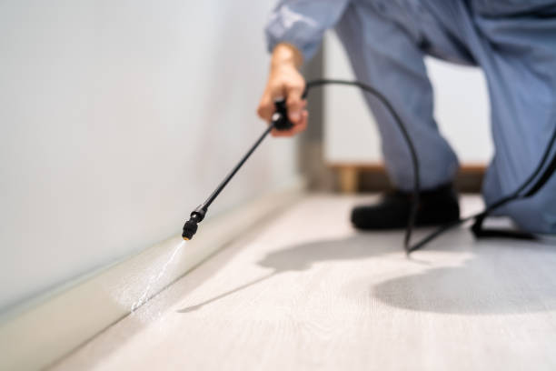 Licensed Pest Control service in Mount Gay-Shamrock, WV - Show Me Pest Control