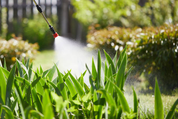 24/7 Emergency Mosquito Control experts in Mount Gay-Shamrock, WV