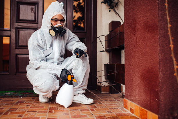 Reliable Mosquito Control contractor in Mount Gay-Shamrock, WV by Show Me Pest Control