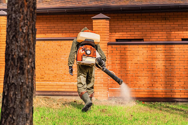 Top rated local Mosquito Control specialists in Mount Gay-Shamrock, WV
